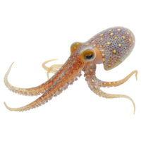 AI generated Squid isolated on transparent background png