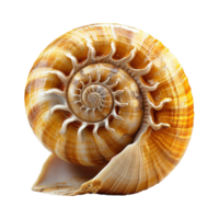 ai généré spirale coquille isolé sur transparent Contexte png