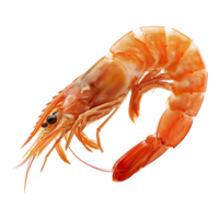 AI generated Shrimp isolated on transparent background png