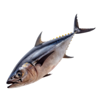 ai generado atún pescado aislado en transparente antecedentes png