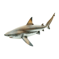 ai généré requin isolé sur transparent Contexte png