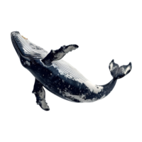ai generato balena isolato su trasparente sfondo png