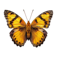 ai generado mariposa aislado en transparente antecedentes png