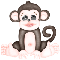 Sitting monkey cartoon illustration png