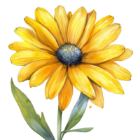 AI generated Watercolor painting of yellow daisy flower isolated on transparent background. png