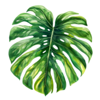 AI generated Watercolor painting of botanical tropical leaves isolated on transparent background. png