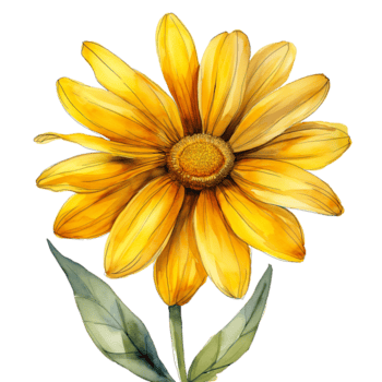 ai generiert Aquarell Gemälde von Gelb Gänseblümchen Blume isoliert auf transparent Hintergrund. png