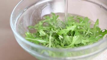 Fresh arugula leaves are washed under water video