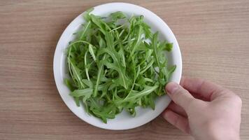 vrouw handen zetten een bord met rucola Aan de tafel video