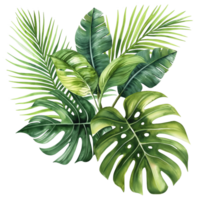 AI generated Watercolor painting of botanical tropical leaves isolated on transparent background. png