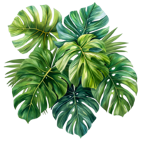 AI generated Watercolor painting of botanical tropical leaves isolated on transparent background. png