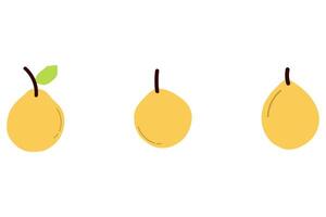 Simple pear fruit icon set vector