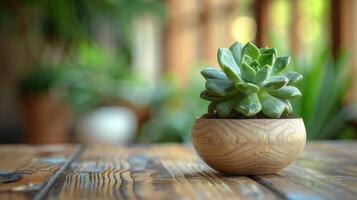 AI generated A small succulent plant sits on the table. Complete with potted plants and small leaves. photo