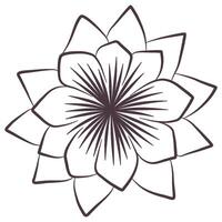 Lotus flower line art vector