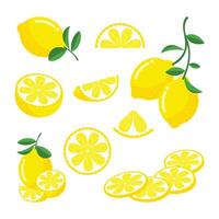 Set of whole, cut in half, sliced on pieces lemon isolated on white background vector