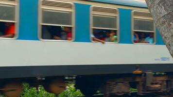 Side view of a train carrying tourists on a summer day. Action. Old train and green vegetation round, concept of public transport in the countryside. video