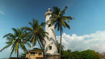 Beautiful palm trees with white lighthouse on sunny summer day. Action. Picturesque view of tropical dream with white lighthouse and palm trees. Tropical paradise with lighthouse and palm trees on video