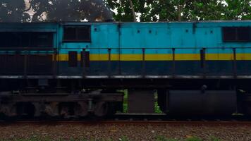 Train with people in rainforest. Action. Passing train with people looking out in tropical village. Train with passengers in tropical zone video