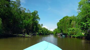 barca viaggio su tropicale fiume. azione. bellissimo escursioni a piedi viaggio lungo fiume nel tropicale giungla. fiume barca viaggio nel tropicale la zona su soleggiato estate giorno video