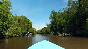 Boat trip on tropical river. Action. Beautiful hiking trip along river in tropical jungle. River boat trip in tropical area on sunny summer day video