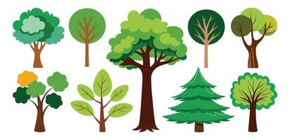 hand drawn trees collection set, illustration vector for infographic or other uses