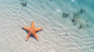 ai generado estrella de mar en azul Oceano agua. verano antecedentes con Copiar espacio. soleado verano día. arenoso playa. mar estrella en blanco arena debajo agua. ai generativo foto