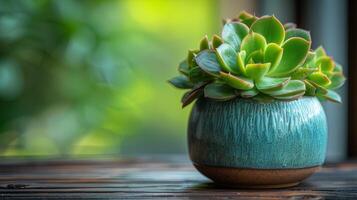 ai generado un pequeño suculento planta se sienta en el mesa. completar con en conserva plantas y pequeño hojas. foto