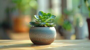 AI generated A small succulent plant sits on the table. Complete with potted plants and small leaves. photo