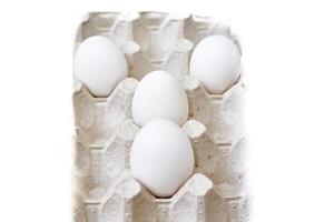 Four white eggs in a packing carton photo