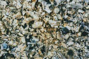 Blurred background of burnt coals and firewood from a fire photo