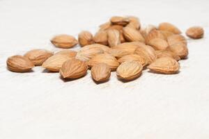 Ripe apricot kernels, taste of warm summer photo