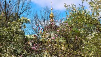 Spring Easter mood. Church with golden domes, blooming magnolia garden photo