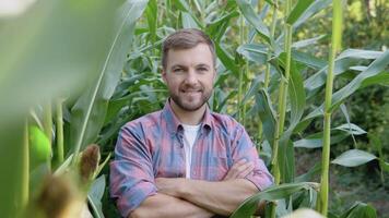 une Jeune content agriculteur des stands dans le milieu de une blé champ et sourit à le caméra. le agriculteur grandit biologique blé video