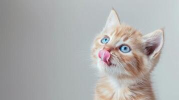 ai generado gato lame su labios. linda hambriento gato. foto