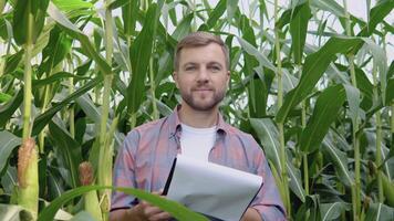 A young happy farmer stands in the middle of a corn field and studies the harvest documentation and looking at camera video