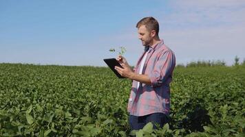 ein jung Farmer macht Anmerkungen im ein Tablette Über das Besonderheiten von Sojabohne Wachstum im das Feld video