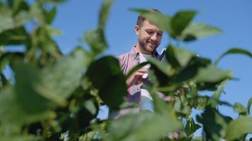 une Jeune agriculteur fait du Remarques dans une tablette à propos le particularités de soja croissance dans le champ video