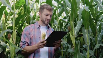 un joven contento granjero soportes en el medio de un maíz campo y estudios el cosecha documentación video