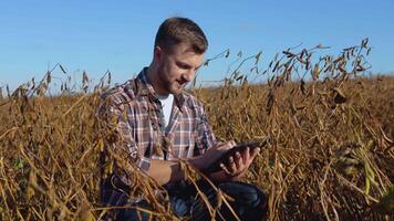 une agriculteur ou agronome est assis dans le milieu de une mature soja dans une champ et fait du Remarques sur une tablette avec les documents video