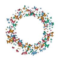 Multi-colored butterflies flying in a circle on a white background. Vector illustration.