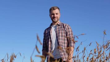 A farmer or agronomist stands in the middle of a mature soybean in a field and looks at the camera with a smile video