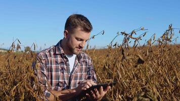 une agriculteur ou agronome est assis dans le milieu de une mature soja dans une champ et fait du Remarques sur une tablette avec documents. en bonne santé nourriture video