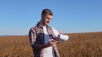 A farmer or agronomist stands in the middle of a mature soybean in a field and reads records in documents video