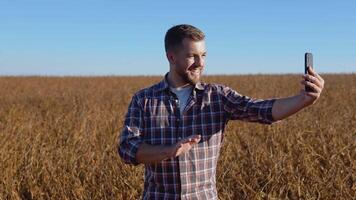 A farmer or agronomist stands in the middle of a mature soybean in a field and communicates via video link. cellular communication and internet network for business. Healthy vegetarian food