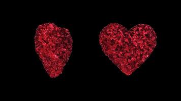 Two hearts of rose petals with alpha channel video