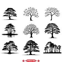 Vintage Cypress Tree Silhouette Bundle Classic Nature Illustrations vector