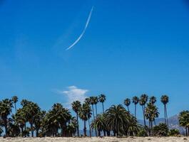 palma arboles a playa en California. azul cielo foto