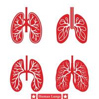 Comprehensive Vector Illustrations of Human Lungs Designed for Medical Professionals