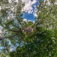 tiny planet transformation of spherical panorama 360 degrees. Spherical abstract aerial view with trees in forest with clumsy branches in blue sky. Curvature of space. photo