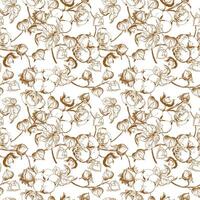 Vector, seamless, black and white pattern of cotton flowers. Botanical illustration using engraving technique. Cotton branches with leaves are drawn with ink. Illustration suitable for fabric, textile vector